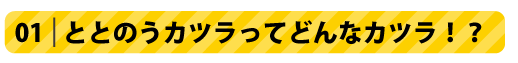 01ととのうかつらってどんなカツラ！？